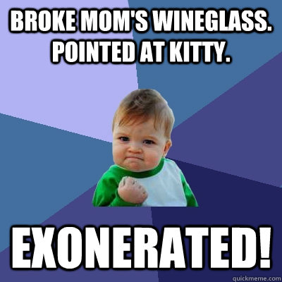 broke mom's wineglass. pointed at kitty. exonerated!  Success Kid