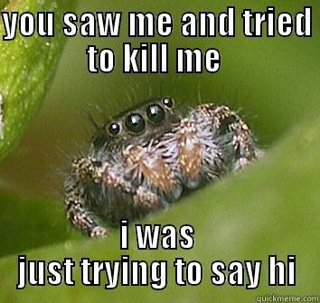 YOU SAW ME AND TRIED TO KILL ME  I WAS JUST TRYING TO SAY HI Misunderstood Spider