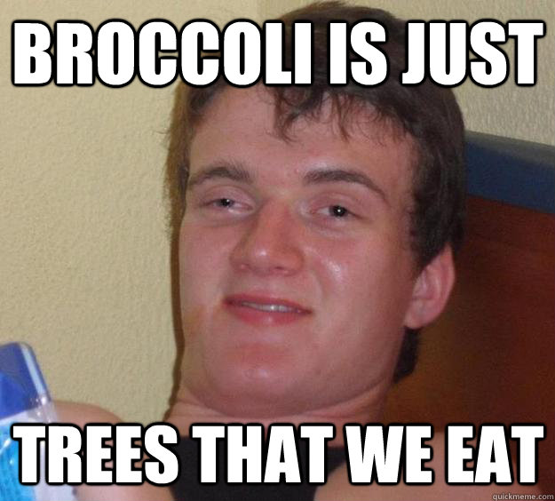 broccoli is just trees that we eat  10 Guy