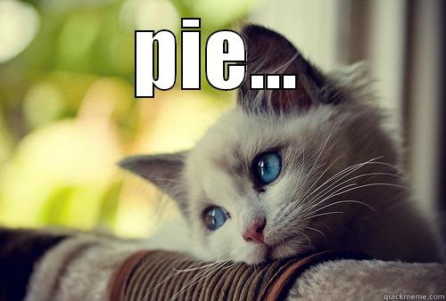 gotta love pie! - PIE...  First World Problems Cat