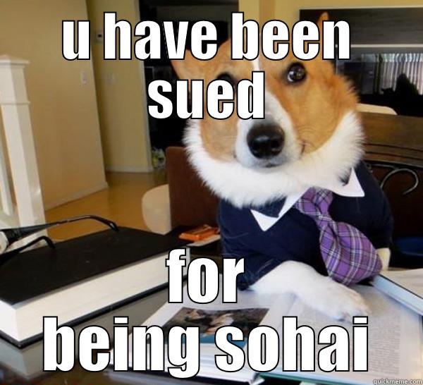 U HAVE BEEN SUED FOR BEING SOHAI Lawyer Dog