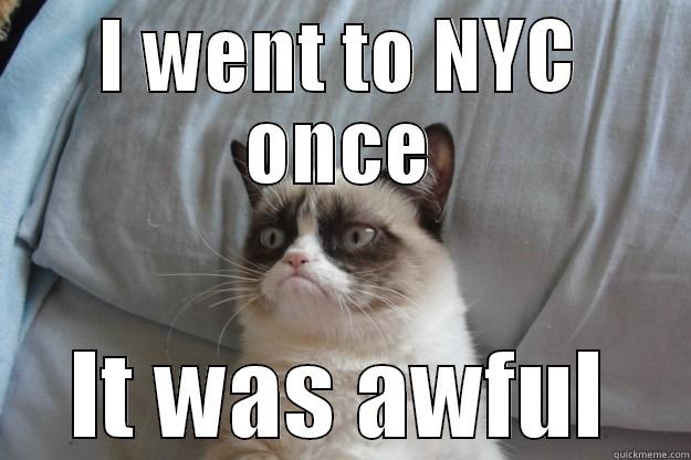 gaddamn! create already - I WENT TO NYC ONCE IT WAS AWFUL Grumpy Cat