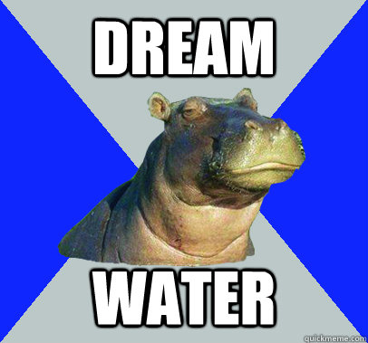 dream water  Skeptical Hippo