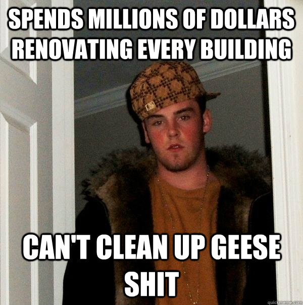 Spends millions of dollars renovating every building Can't clean up geese shit  Scumbag Steve