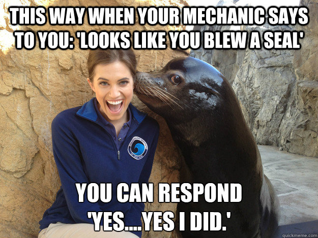 This way when your mechanic says to you: 'Looks like you blew a seal' You can respond 
'yes....yes I did.' - This way when your mechanic says to you: 'Looks like you blew a seal' You can respond 
'yes....yes I did.'  Crazy Secret