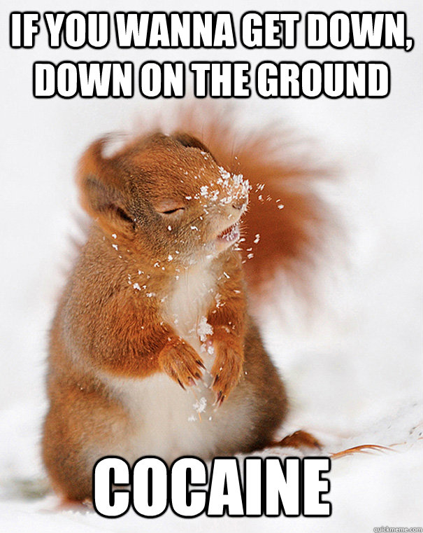 If you wanna get down, down on the ground Cocaine - If you wanna get down, down on the ground Cocaine  Snow Squirrel