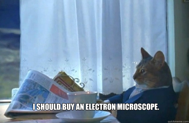 I should buy an electron microscope.  Sophisticated Cat