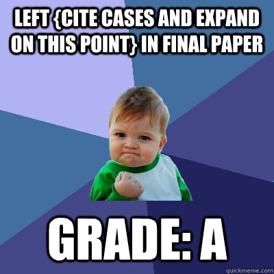 Left {cite cases and expand on this point} in final paper grade: a  Success Kid