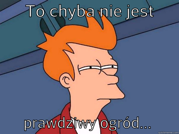       TO CHYBA NIE JEST              PRAWDZIWY OGRÓD...       Futurama Fry