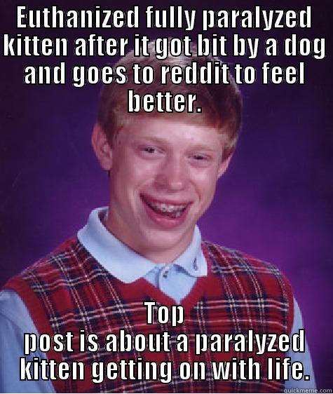 EUTHANIZED FULLY PARALYZED KITTEN AFTER IT GOT BIT BY A DOG AND GOES TO REDDIT TO FEEL BETTER. TOP POST IS ABOUT A PARALYZED KITTEN GETTING ON WITH LIFE. Bad Luck Brian