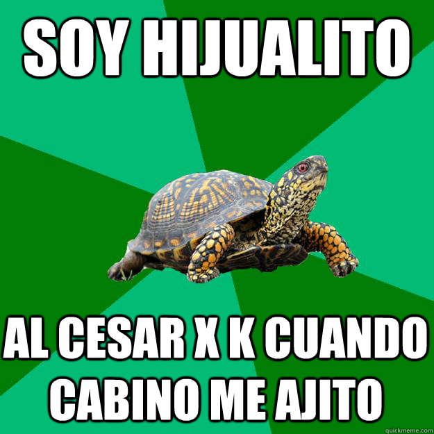 soy hijualito  al cesar x k cuando cabino me ajito - soy hijualito  al cesar x k cuando cabino me ajito  Torrenting Turtle