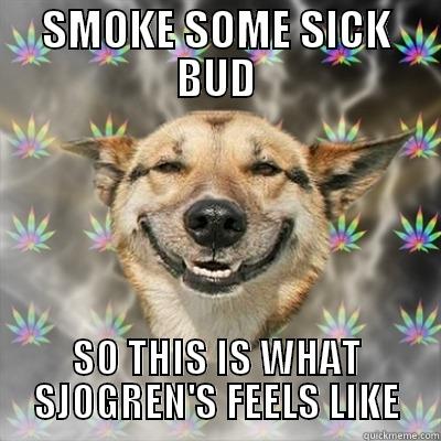 SMOKE SOME SICK BUD SO THIS IS WHAT SJOGREN'S FEELS LIKE Stoner Dog