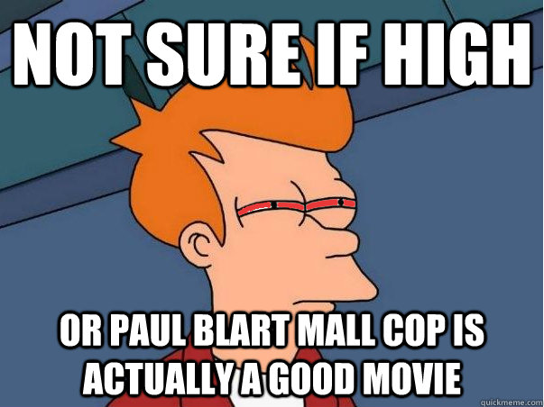 Not sure if high Or Paul Blart mall cop is actually a good movie  
