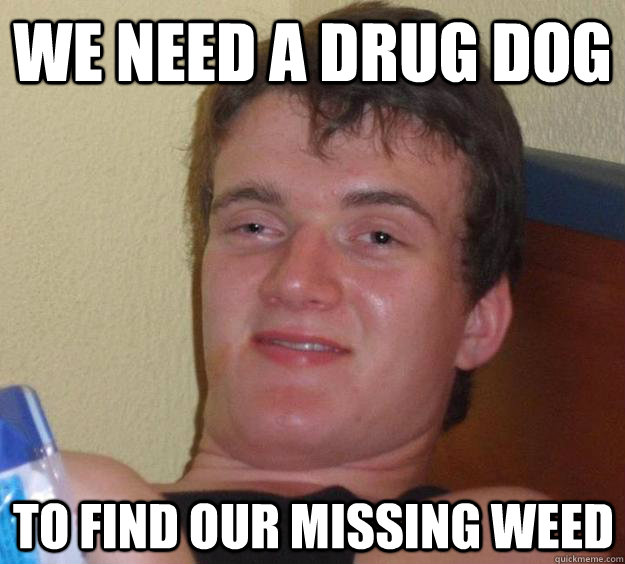 We need a drug dog To find our missing weed - We need a drug dog To find our missing weed  10 Guy