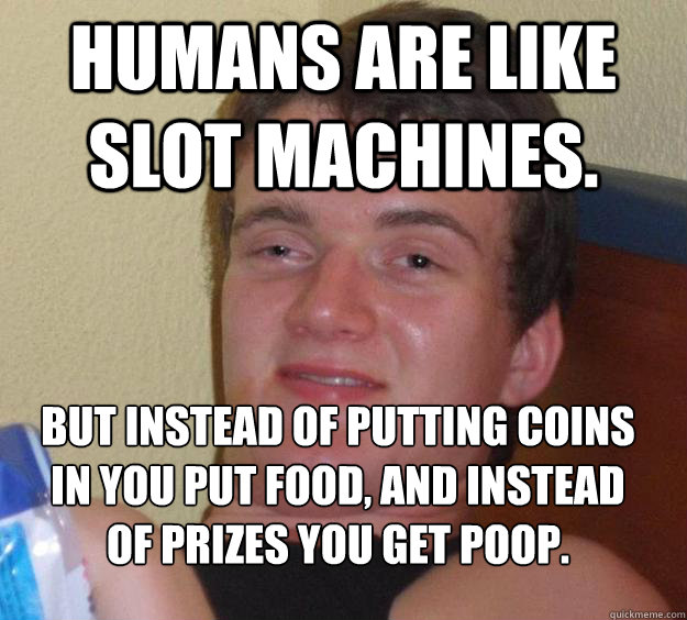 Humans are like slot machines. But instead of putting coins in you put food, and instead of prizes you get poop.
 - Humans are like slot machines. But instead of putting coins in you put food, and instead of prizes you get poop.
  10 Guy