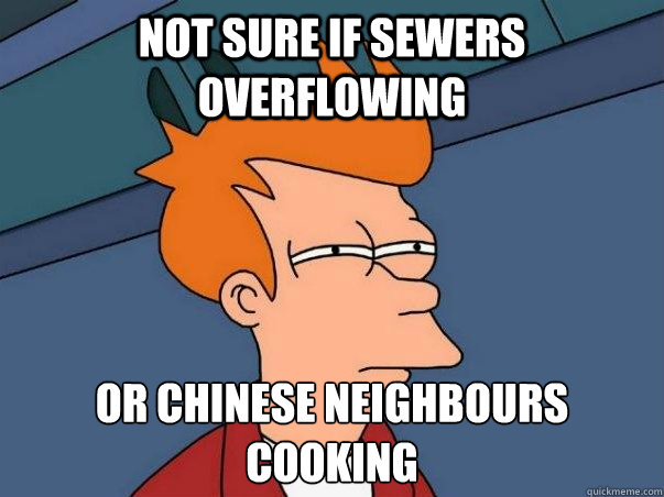 Not sure if sewers overflowing or chinese neighbours cooking - Not sure if sewers overflowing or chinese neighbours cooking  Not sure Fry