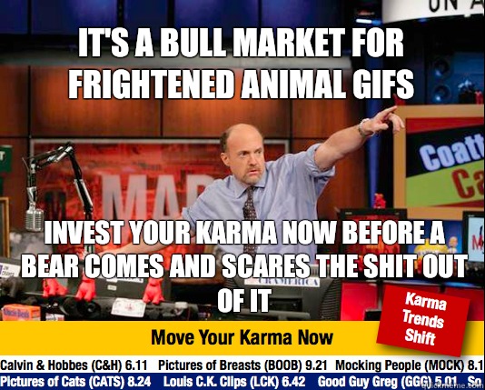 It's a bull market for frightened animal gifs Invest your karma now before a bear comes and scares the shit out of it - It's a bull market for frightened animal gifs Invest your karma now before a bear comes and scares the shit out of it  Mad Karma with Jim Cramer