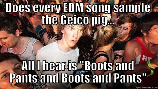 DOES EVERY EDM SONG SAMPLE THE GEICO PIG... ALL I HEAR IS 