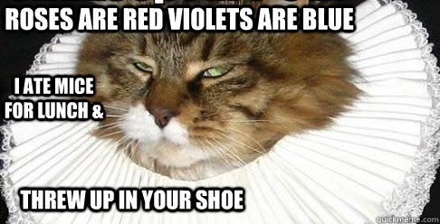 roses are red violets are blue i ate mice for lunch & threw up in your shoe - roses are red violets are blue i ate mice for lunch & threw up in your shoe  poetry cat