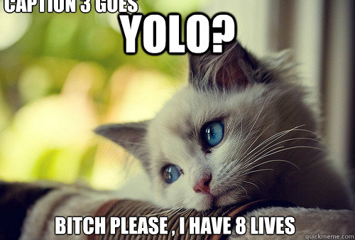 yolo? bitch please , i have 8 lives Caption 3 goes here  First World Problems Cat