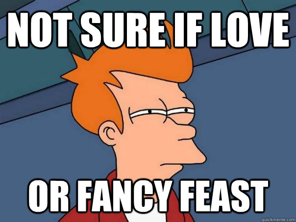 Not sure if love or fancy feast  Futurama Fry