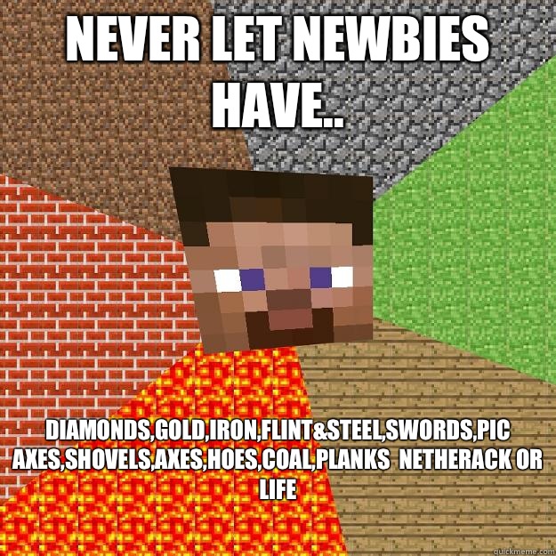 Never let newbies have.. Diamonds,gold,iron,flint&steel,swords,pic axes,shovels,axes,hoes,coal,planks  netherack or life  Minecraft