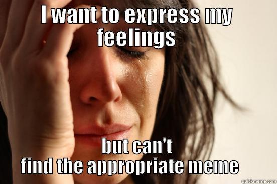 can-t-express-my-feelings-quickmeme