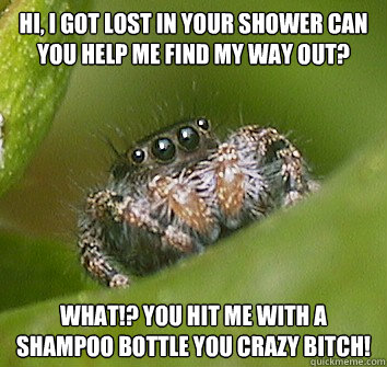 Hi, i got lost in your shower can you help me find my way out? What!? you hit me with a shampoo bottle you crazy bitch!  Misunderstood Spider