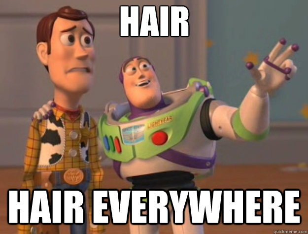 HAIR HAIR EVERYWHERE  Toy Story