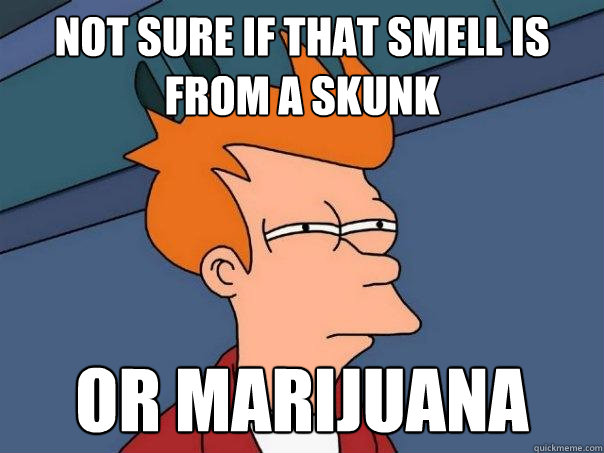 Not sure if that smell is from a skunk or marijuana   Futurama Fry