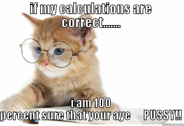 STALE JOKES - IF MY CALCULATIONS ARE CORRECT....... I AM 100 PERCENT SURE THAT YOUR AYE      PUSSY!! Misc