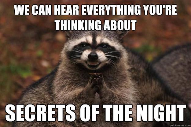 we can hear everything you're thinking about secrets of the night - we can hear everything you're thinking about secrets of the night  Evil Plotting Raccoon