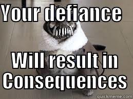 Consequence Bane - YOUR DEFIANCE    WILL RESULT IN CONSEQUENCES Misc