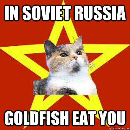 in soviet russia goldfish eat you  Lenin Cat