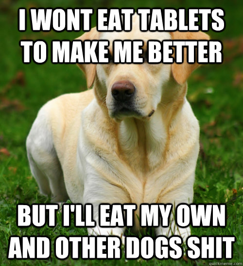 I wont eat tablets to make me better But I'll eat my own and other dogs shit  Dog Logic