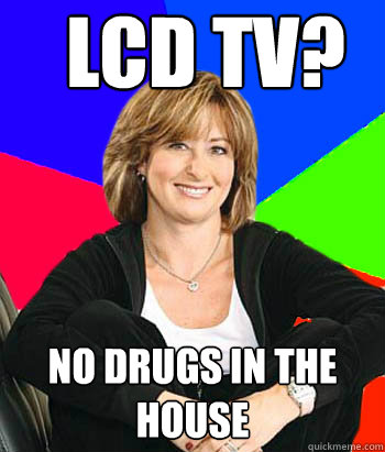 LCD TV? no drugs in the house  Sheltering Suburban Mom