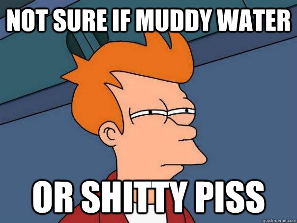 Not sure if muddy water Or shitty piss  Futurama Fry