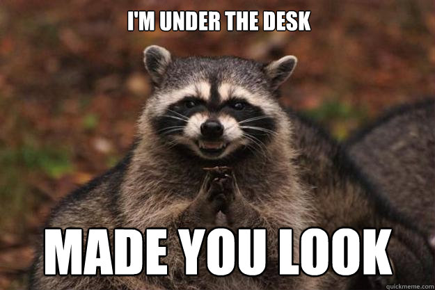 I'M UNDER THE DESK Made you Look - I'M UNDER THE DESK Made you Look  Evil Plotting Raccoon