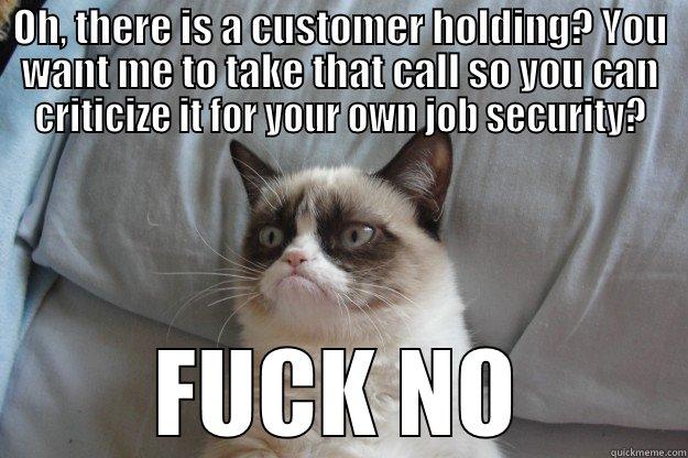 Job security - OH, THERE IS A CUSTOMER HOLDING? YOU WANT ME TO TAKE THAT CALL SO YOU CAN CRITICIZE IT FOR YOUR OWN JOB SECURITY? FUCK NO Grumpy Cat