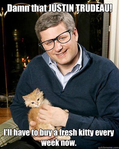 Damn that JUSTIN TRUDEAU! I'll have to buy a fresh kitty every week now.  Hipster Harper