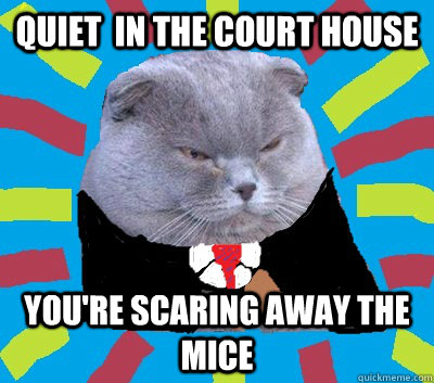 quiet  in the court house you're scaring away the mice - quiet  in the court house you're scaring away the mice  Judge Cat