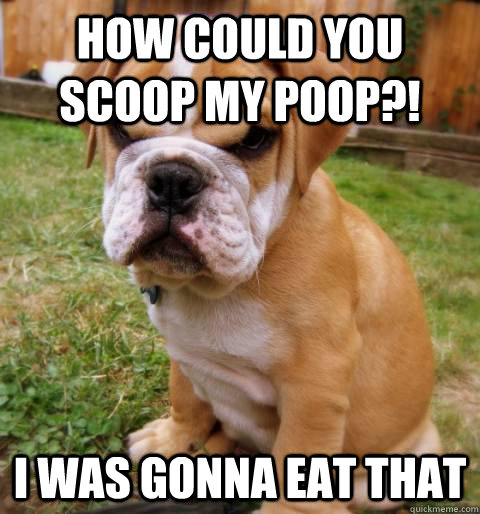 how could you scoop my poop?! i was gonna eat that - how could you scoop my poop?! i was gonna eat that  Misc