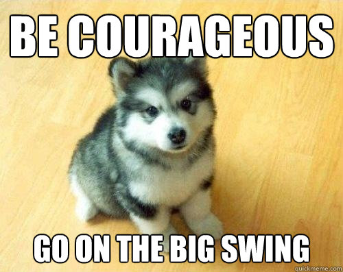 be courageous go on the big swing  Baby Courage Wolf