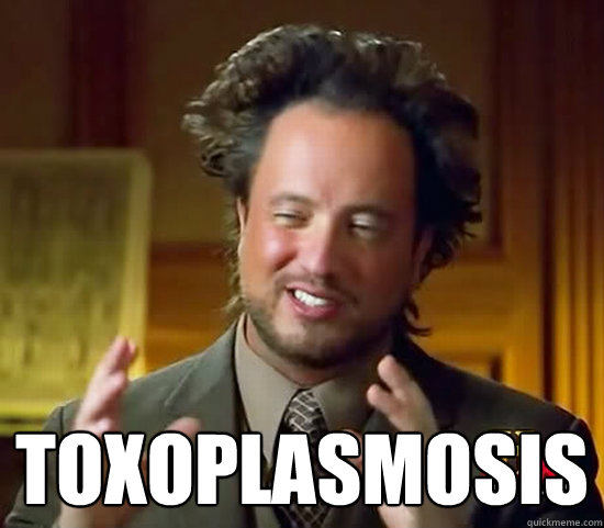  Toxoplasmosis  Ancient Aliens