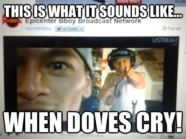 This is what it sounds like... When doves cry! - This is what it sounds like... When doves cry!  Dont ever mess with the twins!