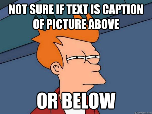 not sure if text is caption of picture above or below - not sure if text is caption of picture above or below  Futurama Fry