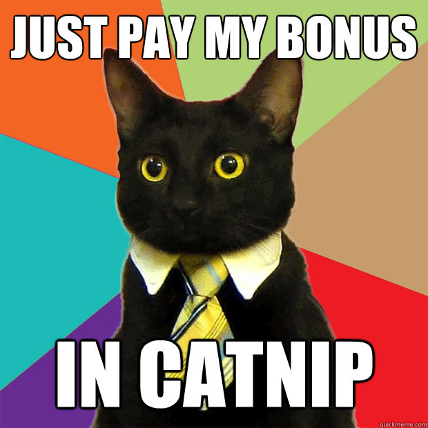 just pay my bonus IN CATNIP  Business Cat