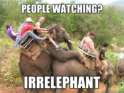 People watching? Irrelephant  Irrelephant