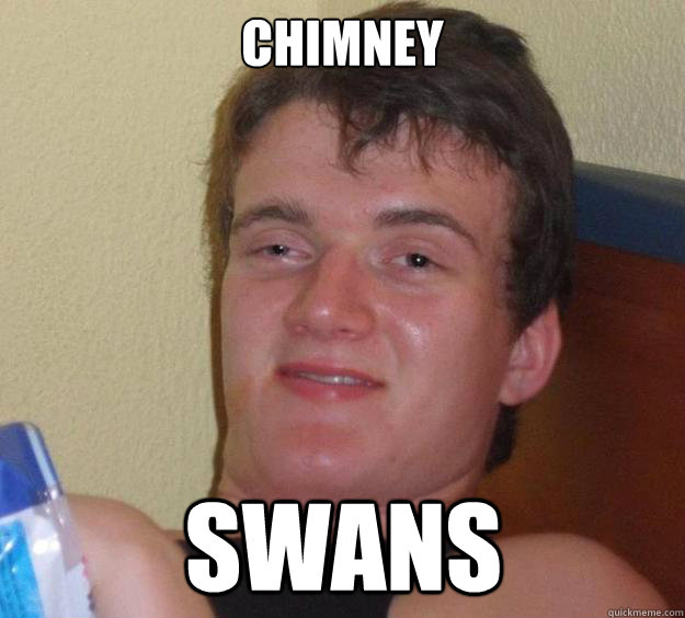 Chimney Swans  10 Guy