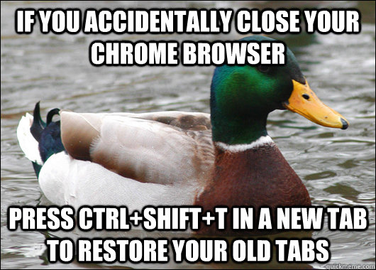 If you accidentally close your Chrome browser press ctrl+shift+t in a new tab to restore your old tabs - If you accidentally close your Chrome browser press ctrl+shift+t in a new tab to restore your old tabs  Actual Advice Mallard